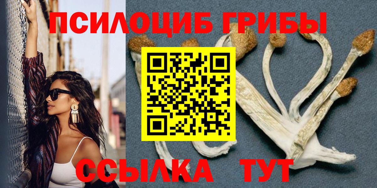 Моршанск  Галлюциногенные грибы мухоморы  Вход с VPN 